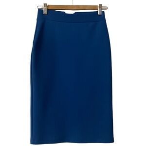 Fitted Blue Pencil Skirt